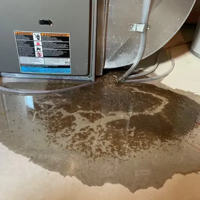 Appliance Leak Cleanup in Laclede County, MO